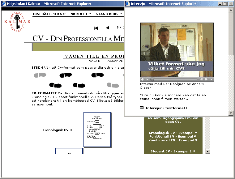 formats for curriculum vitae. cv format